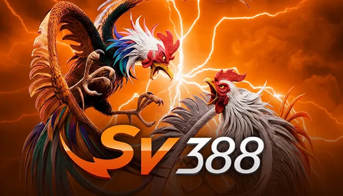 Sv388