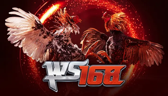 Ws168